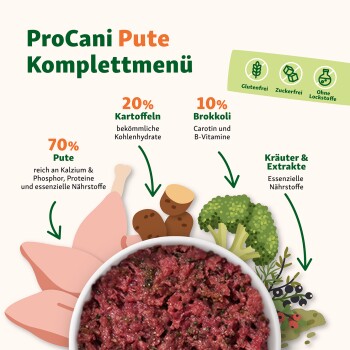 ProCani Pute Komplettmenü Haustierfutter, mit 70% Pute, 20% Kartoffeln und 10% Brokkoli, mit hervorgehobenen ernährungsphysiologischen Vorteilen.
