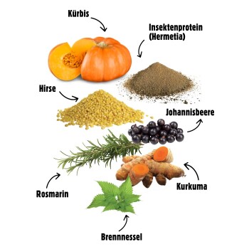 Bild von Zutaten für Haustierfutter: Kürbis, Insektenprotein, Hirse, schwarze Johannisbeeren, Rosmarin, Kurkuma und Brennnessel, beschriftet mit Pfeilen.
