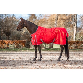 Ein braunes Pferd, das eine leuchtend rote Decke trägt, steht in einem sandigen Bereich mit herbstlichem Laub im Hintergrund.