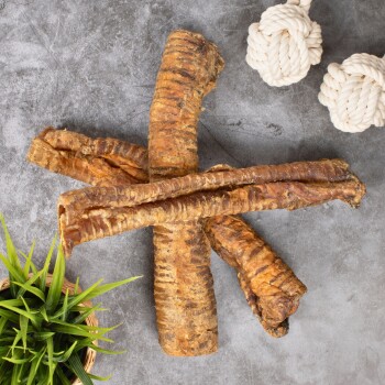 Vier große, zähe Hundeleckerlis in Sternform auf einer grauen Oberfläche angeordnet, mit zwei weißen Seilspielzeugen und einer kleinen grünen Pflanze in einem Korb in der Nähe.