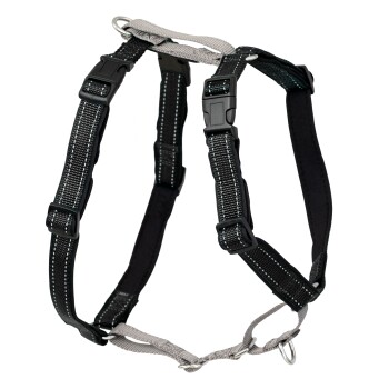 3-in-1-Geschirr und Rückhaltegurt S
