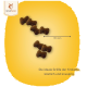 Braune Hundefutterkroketten in Knochenform, 15,5 mm groß, auf einem gelben Hintergrund mit dem Text: "Die ideale Größe der Krokette, köstlich und knusprig."