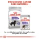 Emballage de nourriture pour chiens Royal Canin présentant des formules "Stérilisées" pour toutes les tailles et "Maxi" avec -14% de calories, promouvant un poids idéal.