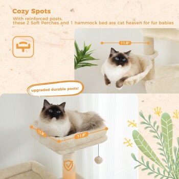 Eine flauschige Katze entspannt sich auf einer weichen Liege eines Katzenbaums mit zwei Liegeflächen und einem Hängemattenbett, mit Text über gemütliche Plätze und strapazierfähige Pfosten.