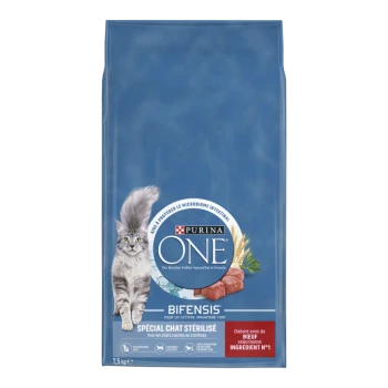 Sac bleu Purina ONE montrant un chat gris à poils longs, mention « BIFENSIS » et label « SPÉCIAL CHAT STÉRILISÉ », 7,5 kg