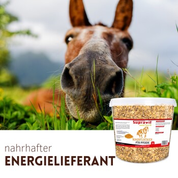 Nahaufnahme von Pferdefutterflocken mit deutschem Text, der hohen Kohlenhydratgehalt, Energieboost und Herstellung in Deutschland hervorhebt.