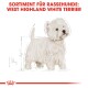 Illustration eines West Highland White Terriers mit einer Skizzenumriss, begleitet von dem Text 'SORTIMENT FÜR RASSEHUNDE: WEST HIGHLAND WHITE TERRIER.'