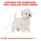 Illustration eines West Highland White Terriers mit einer Skizzenumriss, begleitet von dem Text 'SORTIMENT FÜR RASSEHUNDE: WEST HIGHLAND WHITE TERRIER.'