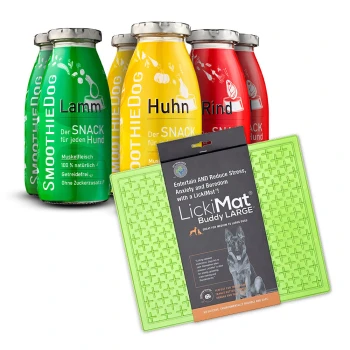 Vier bunte Smoothie-Flaschen mit der Aufschrift 'SmoothieDog' in grün (Lamm), gelb (Huhn) und rot, neben einer grünen LickiMat Buddy LARGE für Hunde.