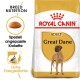 Royal Canin Adult Great Dane Hundefutterbeutel mit einer Silhouette eines Deutschen Doggen und dem Text: "Spezial angepasste Kroketten" und "Hohe Energiedichte."