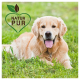Ein glücklicher Golden Retriever, der auf grünem Gras liegt, mit einem "NATUR PUR"-Logo, das ein Herz und ein Blatt in der oberen linken Ecke zeigt.