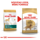 Image montrant deux sacs de nourriture pour chiens Royal Canin pour Golden Retrievers, étiquetés "Adult" et "Nouveau look, même formule."