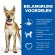 Een hond met een rode halsband staat tegen een blauwe achtergrond en somt voordelen op: smakelijke ingrediënten, hoogwaardige eiwitten en gebalanceerde mineralen.