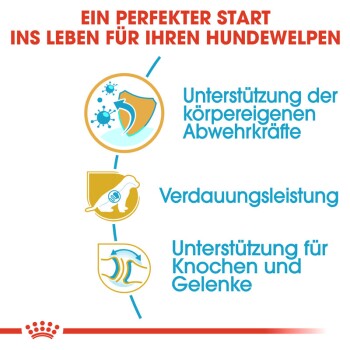 Optimaler Start für Ihren Welpen: Stärkung der Abwehrkräfte, Verdauung und Unterstützung für Knochen und Gelenke.