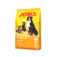 Gelbe Tüte JosiDog Economy Adult Hundefutter mit Bildern von drei Hunden und Text in mehreren Sprachen.