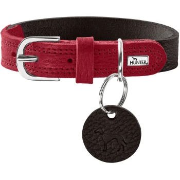 Rote Leder-Hundehalsband mit einer silbernen Schnalle und einem schwarzen Etikett mit einem Hundesilhouette, gebrandet mit "HUNTER."