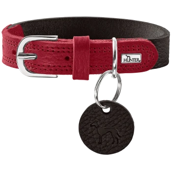 Rote Leder-Hundehalsband mit einer silbernen Schnalle und einem schwarzen Etikett mit einem Hundesilhouette, gebrandet mit "HUNTER."