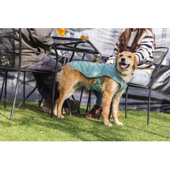 Ein Golden Retriever in einem türkisfarbenen, gesteppten Mantel steht neben zwei Personen, die an einem Tisch sitzen, mit Getränken auf dem Tisch und Gras unter den Füßen.