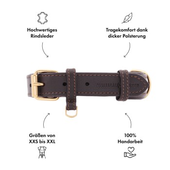 Brauner Lederhundehalsband mit goldener Schnalle, das Qualität, Komfortpolsterung, Größen von XXS bis XXL und handwerkliche Verarbeitung hervorhebt.