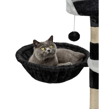 Eine graue Katze ruht sich bequem in einer runden, plüschigen schwarzen Hängematte aus, die an einem Katzenbaum befestigt ist, mit einem hängenden Spielzeug in der Nähe.