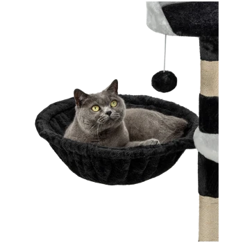 Eine graue Katze ruht sich bequem in einer runden, plüschigen schwarzen Hängematte aus, die an einem Katzenbaum befestigt ist, mit einem hängenden Spielzeug in der Nähe.