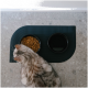 Eine graue getigerte Katze sitzt neben einer schwarzen Fressmatte mit einer Schüssel Trockenfutter und einer Schüssel Wasser.