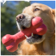 A golden retriever holds a red KONG dog toy in its mouth, with a sunny outdoor background and a blue sky.