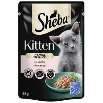Sheba Kitten Nassfutterbeutel mit einem grauen Kätzchen mit grünen Augen, beschriftet 'in sauce mit Lachs', 85g.