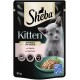 Sheba Kitten Nassfutterbeutel mit einem grauen Kätzchen mit grünen Augen, beschriftet 'in sauce mit Lachs', 85g.