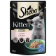 Sheba Kitten Nassfutterbeutel mit einem grauen Kätzchen mit grünen Augen, beschriftet 'in sauce mit Lachs', 85g.