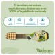 Friandise dentaire Whimzees en forme de brosse à dents pour chien avec pois, pomme de terre et herbes ; texte français : "100% d'ingrédients naturels".
