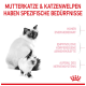 Bild einer Mutterkatze und eines Kätzchens mit deutschem Text: "Hoher Energiebedarf," "Empfindliche Abwehrkräfte," "Aufbau des Nervensystems."