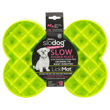 Kleine grüne SloDog Slow Feeder Futterschale für Hunde, geeignet für Trocken-, Nass-, Roh- und Flüssignahrung, verhindert Verdauungsprobleme.