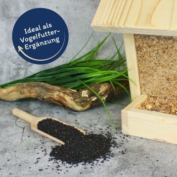 Vogelfutter fällt aus einer Holzschaufel auf eine strukturierte Oberfläche in der Nähe eines Mischfutter-Vogelfutters. Text: "Ideal als Vogelfutter-Ergänzung."