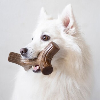 A fluffy white dog holds a brown chew toy shaped like a bone in its mouth, looking playfully at the camera.