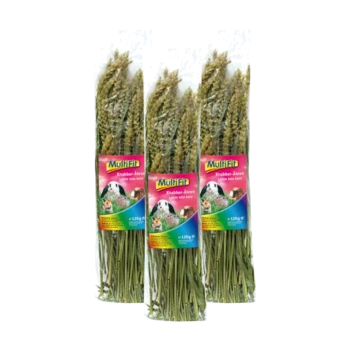 Drei 120g-Packungen von Multifit Knabber-Ahren natürlichen Kausticks für kleine Haustiere, mit bunten Etiketten von Kaninchen und Meerschweinchen.