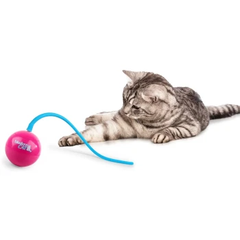 Grau getigerte Katze, die nach einem pinken Ball-Spielzeug mit blauem flexiblem Stab greift; beschriftet mit „Modern CAT“ vor weißem Hintergrund.
