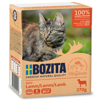 Opakowanie karmy dla kotów z tabby, oznaczone "BOZITA" z roszczeniami "100% białka zwierzęcego" i "Bez zbóż", rozmiar 370g.