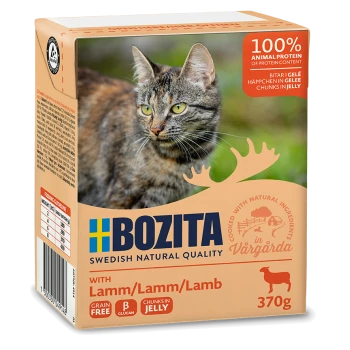 Opakowanie karmy dla kotów z tabby, oznaczone "BOZITA" z roszczeniami "100% białka zwierzęcego" i "Bez zbóż", rozmiar 370g.