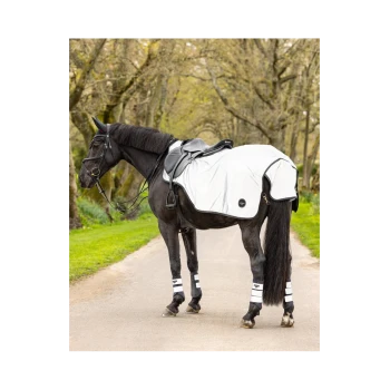 Ein schwarzes Pferd steht auf einem Kiesweg, trägt eine weiße Satteldecke und schützende Beinschoner, umgeben von Bäumen.