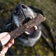 Eine Nahaufnahme des Mauls eines Hundes, der eifrig einen großen Kauknochen hält, während eine menschliche Hand ihn anbietet. Das Fell des Hundes ist schwarz mit grauen Akzenten.