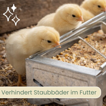 Drei gelbe Küken picken an einem Metallfutterspender mit Mischfutter; Glitzersymbol und Text 'Verhindert Staubbäder im Futter'.