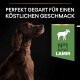 Ein brauner Hund mit einem Halsband schaut nach oben, mit dem Text "Perfekt gegart für einen köstlichen Geschmack" und einem grünen Etikett "N°1 Zutat Lamm."