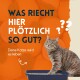 Eine graue getigerte Katze schaut aus einer Katzentoilette vor einem hellorangefarbenen Hintergrund mit Zitrusscheiben. Text: 'Was riecht hier plötzlich so gut?'