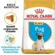 Royal Canin Welpenfutter für Möpse, mit einem Bild eines Mops-Welpen, und Text, der die Ernährung der Rasse und die Unterstützung des Immunsystems hervorhebt.
