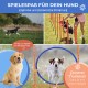 Bild zur Förderung von Hundetraining-Ausrüstung mit einem verspielten Hund, Agility-Stangen und einem Reifen. Text: 'SPIELESPAß FÜR DEINEN HUND' und 'Sicheres Trainieren.'