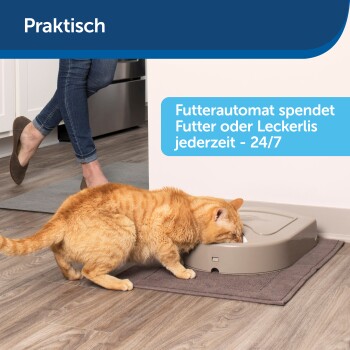 Eine flauschige orange Katze frisst aus einem beigen Futterspender auf einer braunen Matte, während eine Person in Jeans in der Nähe steht. Text: "Futterautomat 24/7".