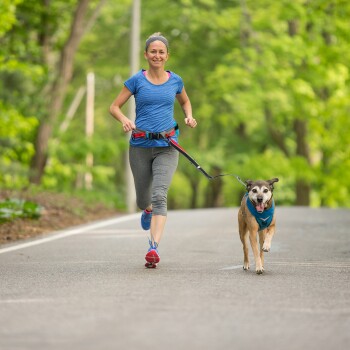 Eine Frau in einem blauen Sportshirt und grauen Leggings joggt entlang einer von Bäumen gesäumten Straße und hält eine Leine, die an einem braunen Hund mit blauem Halstuch befestigt ist.