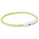 Een felgroene hondenhalsband met een textuurontwerp en een witte sluiting, met een USB-poort voor opladen.