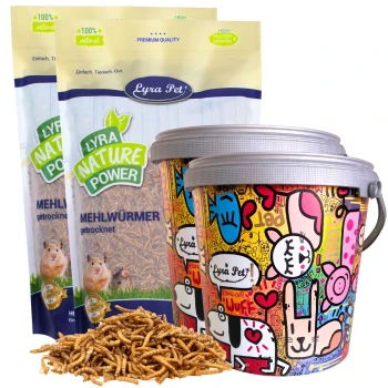 Zwei bunte Eimer mit getrockneten Mehlwürmern von Lyra Pet, mit Tüten, die im Hintergrund mit 'Lyra Nature Power' und '100% natürlich' beschriftet sind.